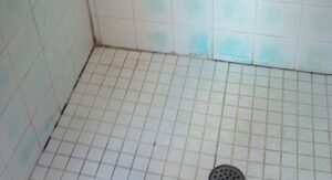 Hydro Shield Eco-Friendly Coatings